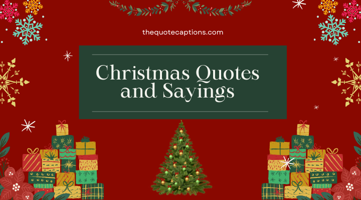 Christmas Quotes and Sayings